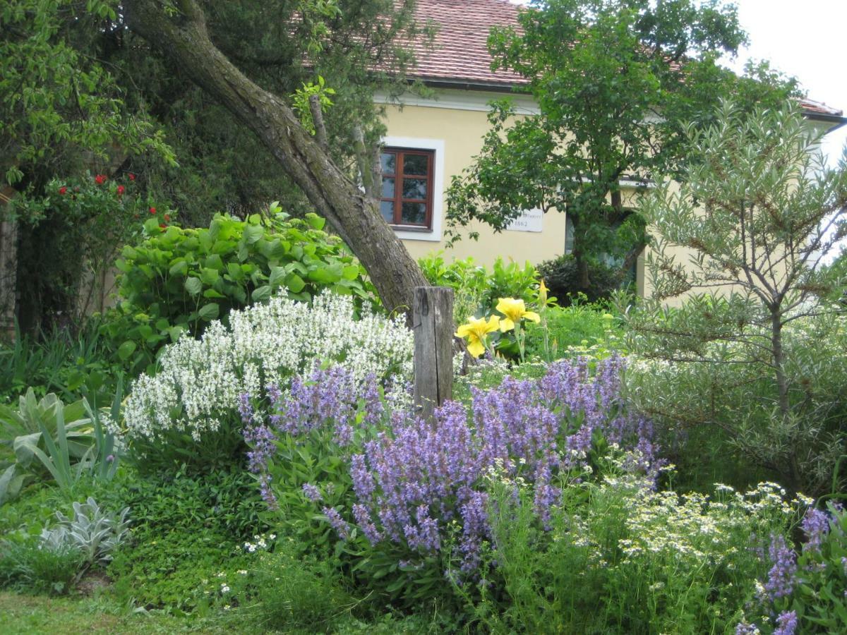 Mala Kmetija Bed & Breakfast Slovenske Konjice Exterior photo